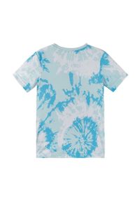 Reima t-shirt dziecięcy Vauhdikas wzorzysty. Okazja: na co dzień. Kolor: niebieski. Materiał: materiał, dzianina. Styl: casual #3