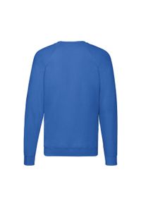 FRUIT OF THE LOOM - Lekki Męski Sweter Raglanowy. Kolor: niebieski. Długość rękawa: raglanowy rękaw
