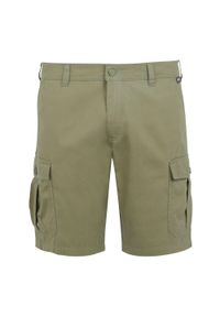 Regatta - Casualowe Shorty Męskie Ruwan. Kolor: zielony. Sport: turystyka piesza #1