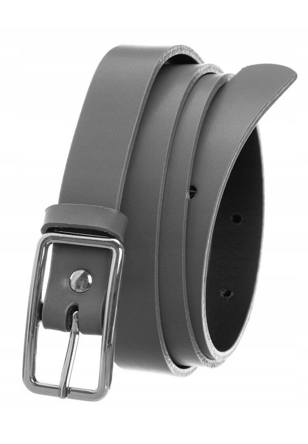 Inny - Pasek damski PD-NL-2-105 szary. Kolor: szary. Materiał: skóra. Wzór: jednolity