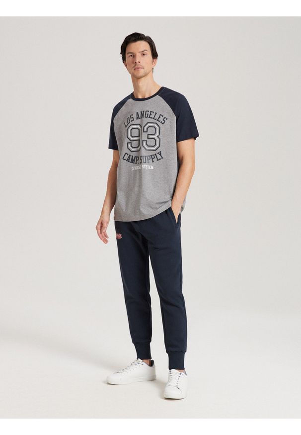 Diverse - T-shirt męski z nadrukiem HUMTLEX S1815 - szary - Rozmiar: L. Kolor: szary. Materiał: poliester, bawełna. Wzór: nadruk