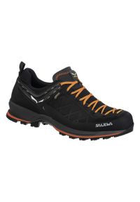 Buty Trekkingowe Męskie Salewa Mtn Trainer 2 Gtx. Kolor: wielokolorowy