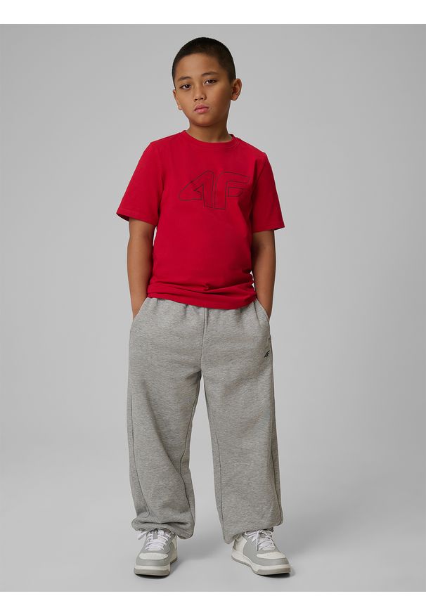 4f - 4F T-shirt regular z nadrukiem chłopięcy - czerwony 140 (9-10 lat). Okazja: na uczelnię, na co dzień. Kolor: czerwony. Materiał: materiał, bawełna, skóra. Wzór: nadruk. Sezon: lato. Styl: klasyczny, casual