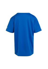 Regatta - T-shirt Dziecięca Z Górą Alvardo VIII. Kolor: szary, niebieski, wielokolorowy. Sport: turystyka piesza