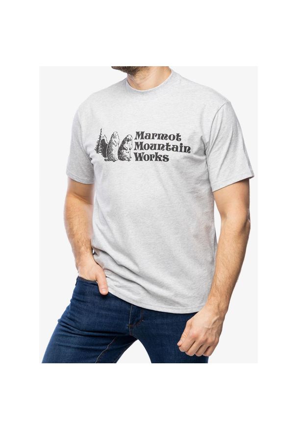 Koszulka bawełniana męska Marmot MMW Tee. Typ kołnierza: polo. Kolor: szary. Materiał: bawełna