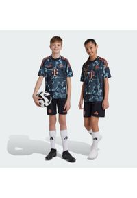 Adidas - Szorty FC Bayern 24/25 Away Kids. Kolor: czarny. Materiał: materiał