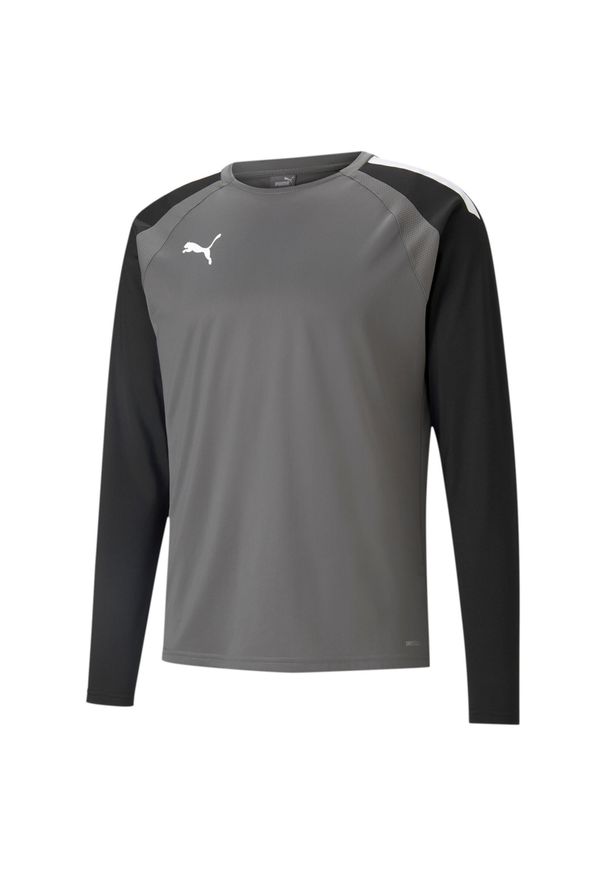 Bluza Puma Teamliga. Kolor: szary, wielokolorowy, biały. Sport: fitness, piłka nożna