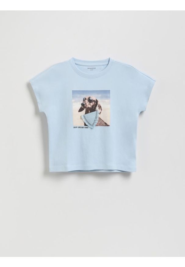 Reserved - Krótki t-shirt z nadrukiem - jasnoniebieski. Kolor: niebieski. Materiał: bawełna. Długość: krótkie. Wzór: nadruk