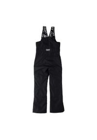Spodnie narciarskie damskie Colourwear Slash Bib. Kolor: czarny. Sezon: zima. Sport: narciarstwo
