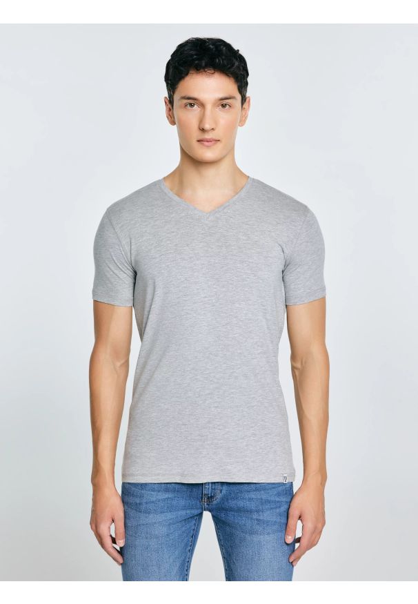 Big-Star - Koszulka męska slim v-neck z bawełny supima szara Supiclassicov 901. Kolor: szary. Materiał: bawełna. Długość: długie