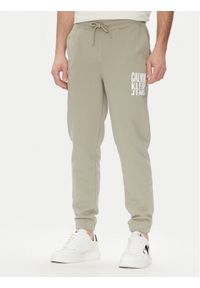 Calvin Klein Jeans Spodnie dresowe Painted J30J327535 Zielony Regular Fit. Kolor: zielony. Materiał: bawełna #1