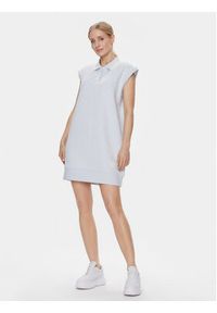 Guess Sukienka codzienna Cheri V4RK00 KBSL0 Błękitny Regular Fit. Okazja: na co dzień. Kolor: niebieski. Materiał: syntetyk. Typ sukienki: proste. Styl: casual #5