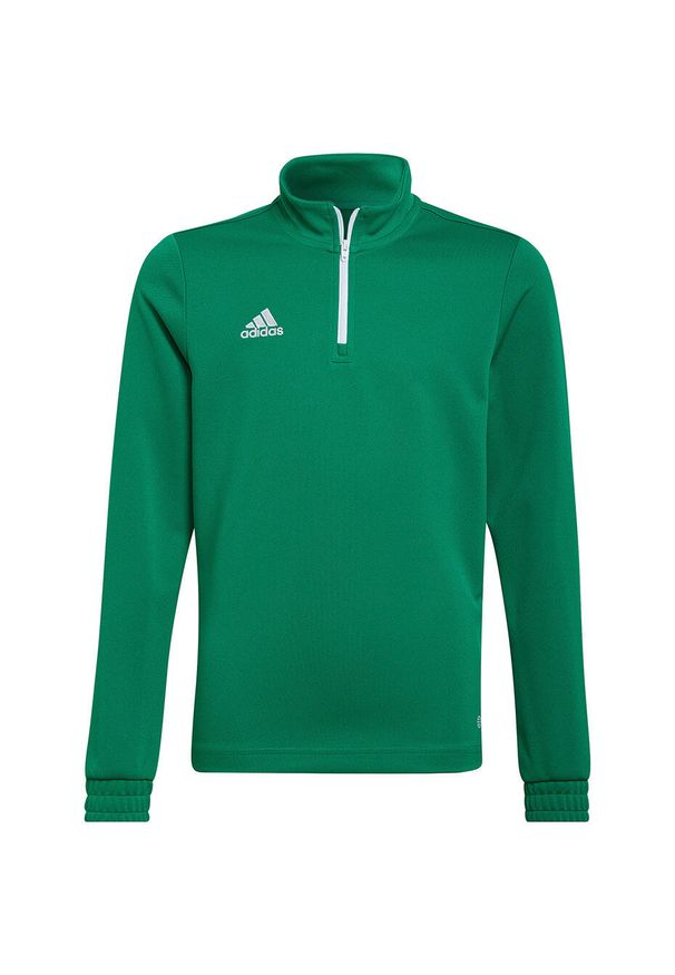 Adidas - Bluza piłkarska dla dzieci adidas Entrada 22 Training Top. Kolor: biały, zielony, wielokolorowy. Materiał: materiał. Sport: piłka nożna