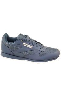 Buty do chodzenia dla dzieci Reebok Classic Leather Deep. Zapięcie: sznurówki. Kolor: szary. Materiał: materiał, syntetyk, tkanina. Szerokość cholewki: normalna. Model: Reebok Classic. Sport: turystyka piesza