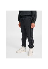 Spodnie dresowe dla dzieci Hummel Interlock. Kolor: wielokolorowy, szary, czarny, brązowy. Materiał: dresówka. Sport: joga i pilates, fitness #1