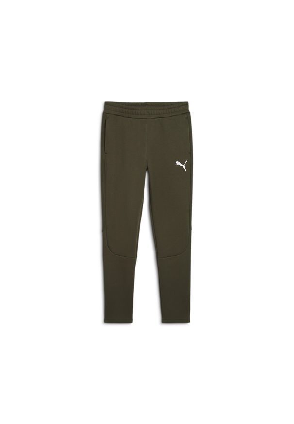 Puma - Męskie spodnie EVOSTRIPE PUMA Dark Olive Green. Kolor: zielony. Sport: joga i pilates
