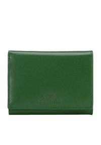 Wittchen - Damski portfel z gładkiej skóry mały zielony. Kolor: zielony. Materiał: skóra. Wzór: gładki