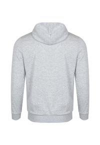 Bluza z kapturem Puma Men Ess Small Logo Hoody, Mężczyźni. Typ kołnierza: kaptur. Kolor: szary. Materiał: bawełna, materiał #2