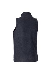 TRESPASS - Kamizelka Damska Talkative Fleece AT200. Kolor: szary. Sport: turystyka piesza