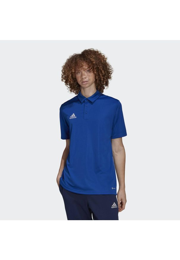 Koszulka polo do piłki nożnej męska Adidas Entrada 22 Polo z krótkim rękawem. Typ kołnierza: polo. Kolor: niebieski. Długość rękawa: krótki rękaw. Długość: krótkie. Sport: fitness, piłka nożna