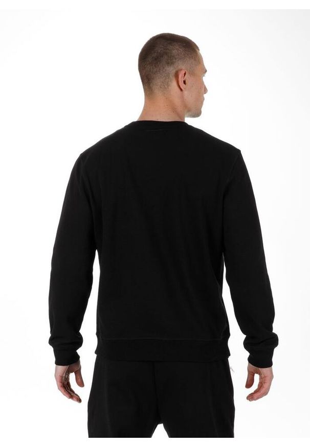 PITBULL - Bluza męska Pitbull Beyer. Kolor: czarny