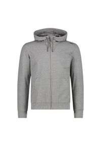 Bluza męska turystyczna CMP 32D8077M. Kolor: szary #1