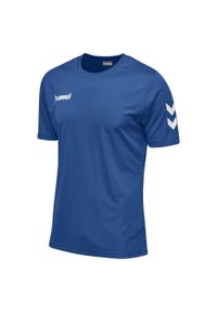Koszulka z krótkim rękawem sportowa męska Hummel Core Polyester Tee. Kolor: niebieski. Długość rękawa: krótki rękaw. Długość: krótkie #1