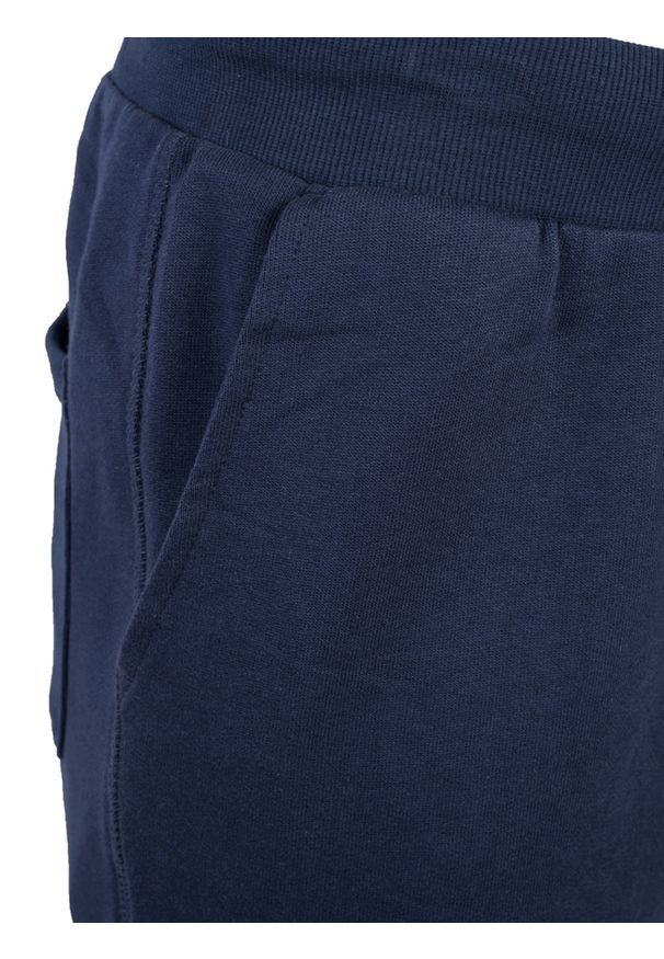 North Sails Spodnie | 90 3203 000 | Sweatpant W/Graphic | Mężczyzna | Granatowy. Okazja: na co dzień. Kolor: niebieski. Materiał: bawełna. Wzór: aplikacja, nadruk. Styl: casual