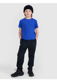 4f - 4F T-shirt trekkingowy szybkoschnący chłopięcy - niebieski 122/128 (6-8 lat). Kolor: niebieski. Materiał: dzianina, materiał, syntetyk, włókno, elastan. Wzór: gładki, ze splotem, nadruk, jednolity. Sezon: lato. Sport: turystyka piesza, fitness