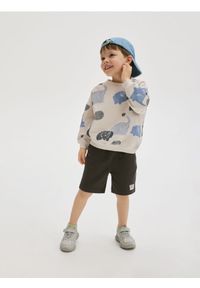 Reserved - Bawełniane szorty - ciemnoszary. Kolor: szary. Materiał: bawełna. Wzór: gładki