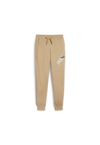 Puma Spodnie Power Graphic Tr Cl 67893683. Kolor: beżowy