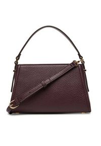 Elisabetta Franchi Torebka BS-36A-56E2-V360 Bordowy. Kolor: czerwony. Materiał: skórzane #4
