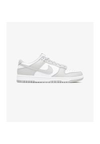 Buty sportowe męskie Nike Dunk Low Retro. Kolor: szary