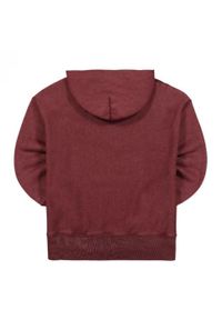 Champion - Bluza trekking męska. Kolor: brązowy. Materiał: poliester, bawełna. Sport: turystyka piesza