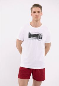 Volcano - Szorty plażowe, Regular Fit, P-MAXIN. Kolor: czerwony. Materiał: poliamid, materiał #1