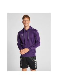 Bluza sportowa męska Hummel Zip. Kolor: biały, niebieski, wielokolorowy. Materiał: polar. Sport: piłka ręczna #1