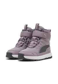 Puma - Dziecięce buty PUMA Evolve PUMA Plum Jam Shadow Gray Purple. Kolor: fioletowy, szary, wielokolorowy. Sport: turystyka piesza