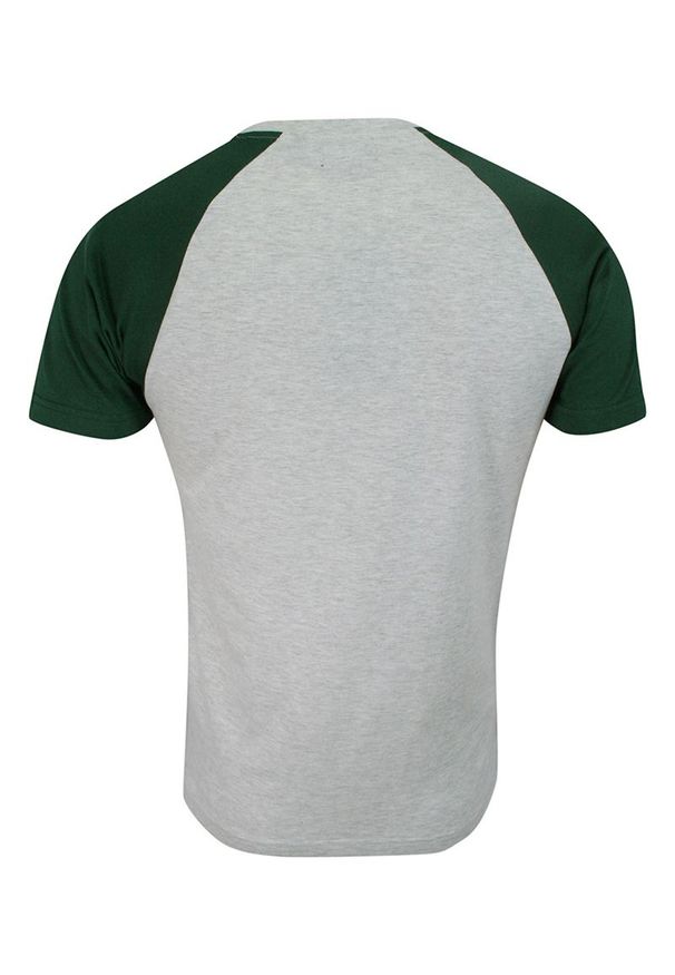 Brave Soul - T-shirt Szaro-Zielony Bawełniany, Krótki Rękaw Raglanowy, Dwukolorowy, Męski -BRAVE SOUL. Okazja: na co dzień. Kolor: zielony, wielokolorowy, szary. Materiał: bawełna, wiskoza. Długość rękawa: krótki rękaw. Długość: krótkie. Sezon: lato, wiosna. Styl: casual