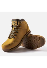 Brązowe skórzane buty Lee Cooper LCJ-20-01-012. Okazja: na co dzień. Kolor: brązowy. Materiał: skóra. Sezon: zima #2