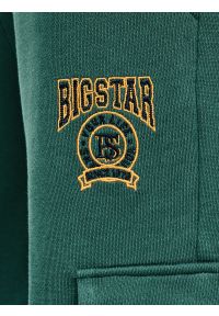 Big-Star - Spodnie chłopięce dresowe cargo khaki Cargir 304. Kolor: zielony. Materiał: dresówka. Wzór: haft #5