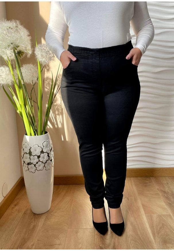 Nasi partnerzy - Czarne jeansowe spodnie z wysokim stanem i zwężaną nogawką PLUS SIZE XXL. Okazja: do pracy, na co dzień, na spacer. Stan: podwyższony. Kolekcja: plus size. Kolor: czarny. Materiał: jeans. Długość: krótkie. Styl: casual