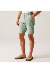 Regatta - Spodenki turystyczne męskie Ruwan. Kolor: szary. Materiał: tkanina, bawełna. Sport: turystyka piesza #1