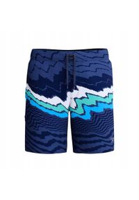 Speedo - Męskie Spodenki Na Deskę Stripe Flex. Kolor: niebieski. Styl: sportowy
