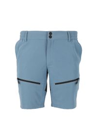 Szorty Whistler Avatar. Kolor: niebieski. Sport: turystyka piesza #1