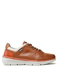 Pikolinos Sneakersy M6V-6105 Brązowy. Kolor: brązowy. Materiał: skóra #1