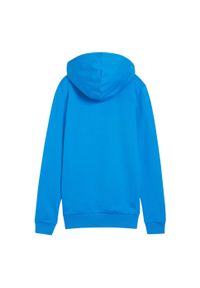 Puma - Damska Bluza Z Kapturem Team Goal Casual. Typ kołnierza: kaptur. Kolor: niebieski