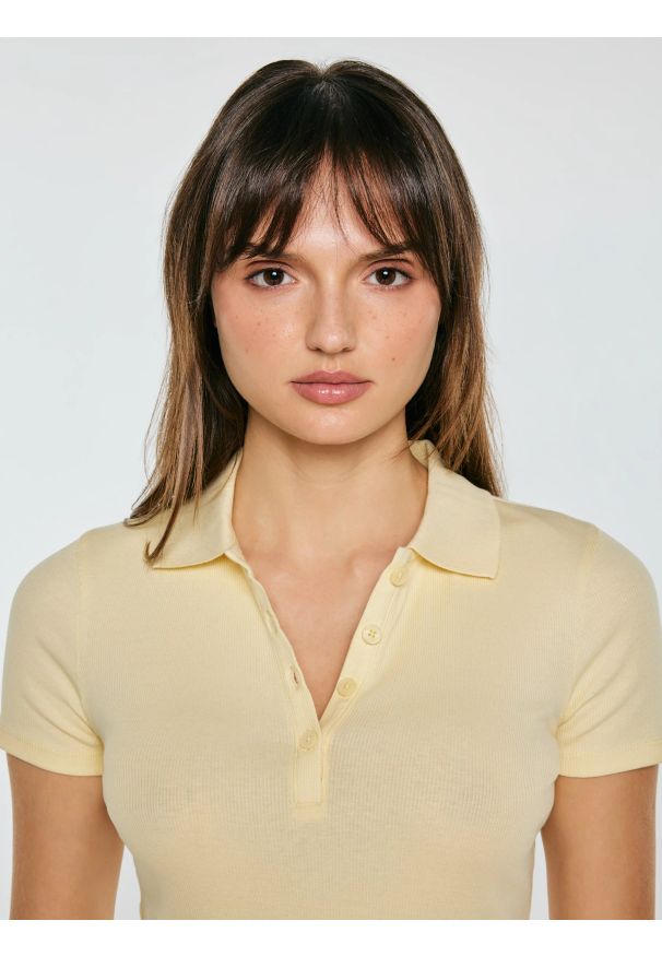 Big-Star - Koszulka damska polo slim z subtelnym haftem żółta Rafaela 200. Typ kołnierza: polo. Kolor: żółty. Materiał: materiał, prążkowany, dzianina. Wzór: haft. Sezon: lato. Styl: elegancki