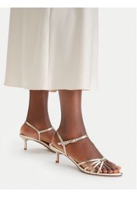 DeeZee Sandały CEO-CWBF17702 Złoty. Kolor: złoty. Materiał: materiał #5
