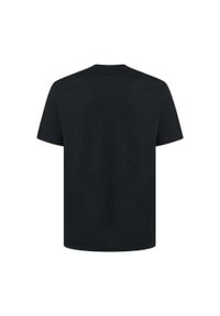 Koszulka Męska Oakley Relax Tee 2.0 T-Shirt. Kolor: czarny. Sport: turystyka piesza
