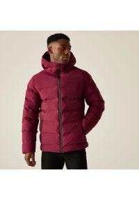 Regatta - Kurtka męska zimowa Altoro Thermal wodoodporna. Kolor: czerwony, wielokolorowy, brązowy. Materiał: materiał, puch. Sezon: zima. Sport: turystyka piesza #1